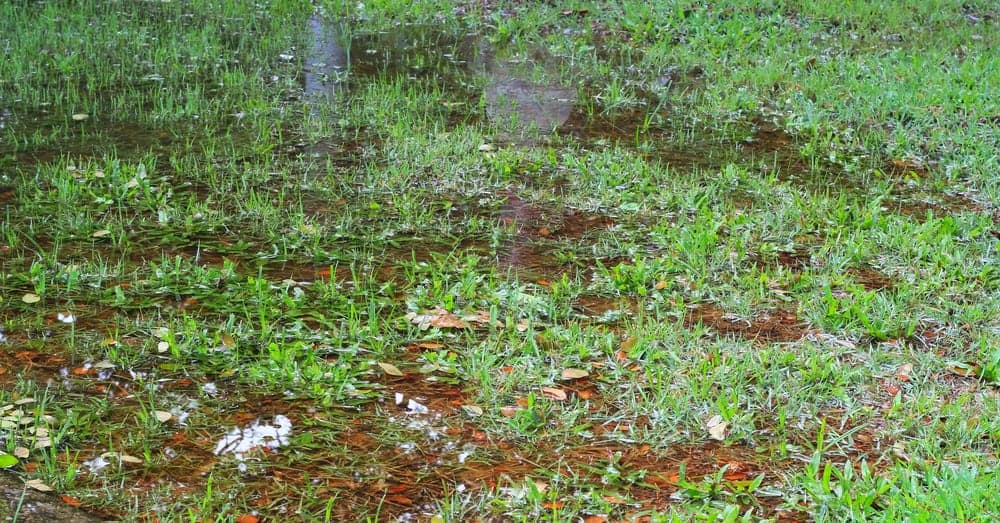 Water Line Repairs in Snellville