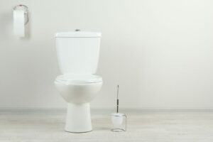 Toilet Repair in Snelville